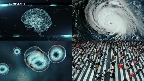 Complexity